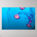 Buscar jalea posters Peces