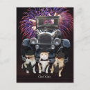 Buscar cats postales Funny