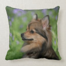 Buscar perro de pomerania enano cojines Headshot