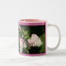 Buscar jardín del hydrangea tazas Hydrangeas