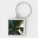 Buscar palma de coco llaveros Palmera