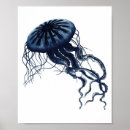 Buscar medusas posters Para ella