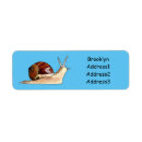 Buscar caracoles etiquetas 7 º concha