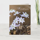 Buscar violeta de madera tarjetas Para todos