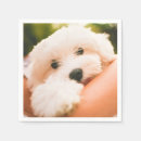 Buscar perro divertido servilletas General y unisex