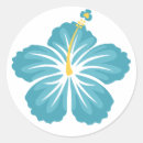 Buscar hibisco azul pegatinas Hawaii