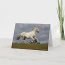Buscar andaluz tarjetas Andaluciano