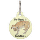 Buscar original collares Perros