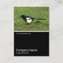 Buscar actrices tarjetas de visita Elegante