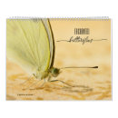 Buscar mariposas calendarios Hermoso