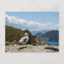 Buscar vigo postales Galicia