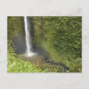 Buscar isla grande postales Verde
