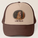 Buscar labradors accesorios Labradores retrieveres