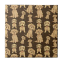 Buscar labradoodle posavasos Doodle dorado