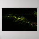 Buscar sombra verde posters General y unisex