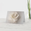 Buscar de la camelia tarjetas Flor