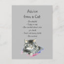 Buscar humor postales Gatito