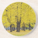 Buscar otoño posavasos Naranja