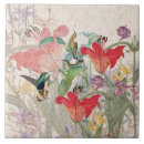 Buscar colibrí azulejos Animales