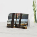 Buscar pisa tarjetas General y unisex