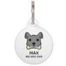 Buscar dueños collares Perros