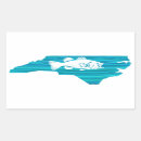 Buscar moscas manualidades Para todos