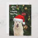 Buscar paws invitaciones Perro