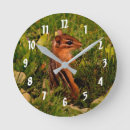 Buscar chipmunks posters Naturaleza