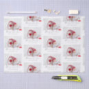 Buscar script papel de seda Para todos