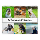 Buscar schnauzer calendarios Miniatura