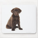 Buscar labrador retriever alfombrillas de raton Perrito