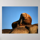 Buscar pensador posters Naturaleza