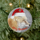 Buscar zorro feliz adornos General y unisex
