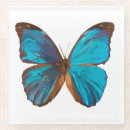 Buscar azules turquesas posavasos General y unisex