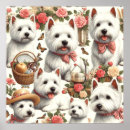 Buscar west highland white terrier arte Cachorro