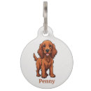 Buscar setter irlandés Cachorro