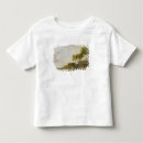 Buscar wheatley camisetas 1747 1801