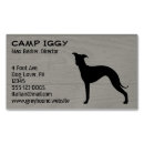 Buscar galgo imanes Animales