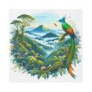 Buscar nube arte Naturaleza