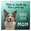 Buscar perro del collie azulejos Red de área fronteriza