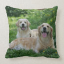 Buscar perros perdigueros de oro cojines Golden retriever