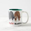 Buscar collies barbudos tazas Beardie