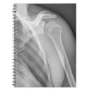 Buscar sanitaria fotografía Fotografía blanco y negro