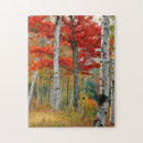 Buscar abedul puzzles Otoño