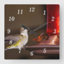 Buscar colibri relojes de pared General y unisex