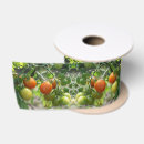 Buscar tomates cintas Jardín