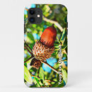 Buscar bellota iphone fundas Árbol