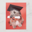Buscar diploma postales Gorra