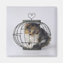 Buscar ojos de gato imanes Felino