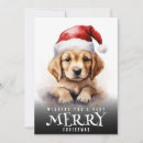 Buscar perrito feliz tarjetas Moderno